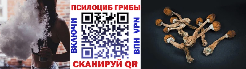 Галлюциногенные грибы мицелий  Александровск 